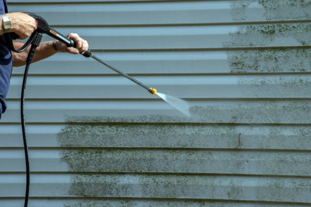 Best Residential Pressure Washing Services  in Farmers Loop, AK