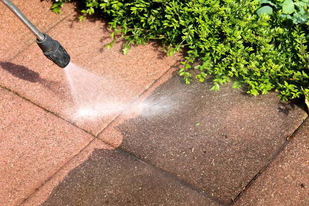 Best Exterior Home Cleaning  in Farmers Loop, AK