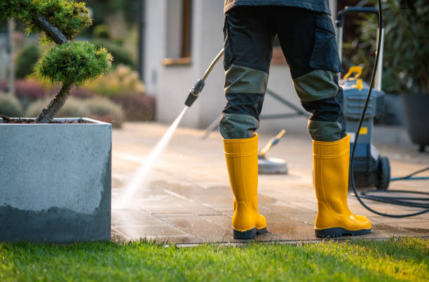 Best Sidewalk Pressure Washing  in Farmers Loop, AK